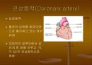CAG (coronary angiography).ppt 3페이지