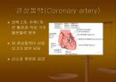 CAG (coronary angiography).ppt 4페이지