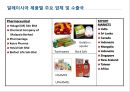 미래시장은 할랄이다.ppt 43페이지