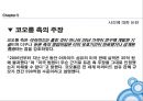 듀폰과 코오롱 인더 간의 아라미드전쟁.pptx 31페이지