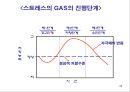 감정과 스트레스.ppt 28페이지