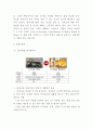 비비고 bibigo 분석과 마케팅전략및 비비고 SWOTSTP분석및 나의의견정리 - 비비고 마케팅연구 5페이지