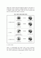 아동발달이론(아동발달의 정신분석이론 인지발달이론 행동주의이론 사회학습이론 동물행동학적 이론 생태학적 체계이론 사회문화이론) 12페이지