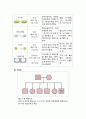 [정신] 양극성장애 케이스 13페이지