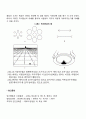 지각대상의 조직화(게슈탈트과정) - 전경과 배경 집단화 지각항등성 폐쇄화와 단순화 착시현상 5페이지