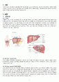 간암 (liver cancer) 케이스 스터디 3페이지