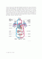 급성심근경색증(acute myocardial infarction AMI) 케이스 스터디 4페이지