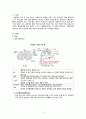 기흉 케이스 (기흉 기흉 케이스 스터디 기흉 CASE 기흉 간호과정) 3페이지