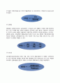 [경영학] 경영학의 개념과 성격 경영학의 연구대상과 연구방법 8페이지