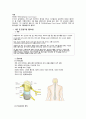 척수손상 케이스 스터디 (SCI Spinal Cord Injury  척추손상 척추손상 케이스 척추손상 case study 척수손상 간호과정) 3페이지