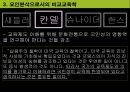 비교교육학의 발달 12페이지