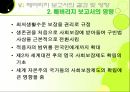 베버리지 보고서 - 베버리지와 베버리지 위원회 베버리지 보고서에 대한 평가 16페이지