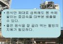 중금속 - 중금속 종류 체내에 축적되는 경로 피해현상 21페이지