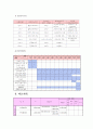 프로그램 개발과 평가 - 사업계획서 - 내 손으로 직접 사랑 두 배 기쁨 두 배  - 국제결혼 이주여성의 한국문화에 대한 계몽과 더불어 건전한 지역사회 구축 6페이지