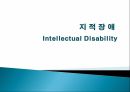 지적장애 (Intellectual Disability) - 정의 인구현황 원인 진단과 분류 종류 1페이지