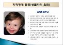 지적장애 (Intellectual Disability) - 정의 인구현황 원인 진단과 분류 종류 14페이지