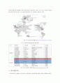 글로벌 시대의 중국시장과 중국투자 - 금호타이어의 중국시장 투자전략 4페이지