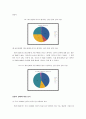 언론에 대한 청소년의 인식 9페이지