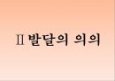 인간의 발달발달의 의의태내의 발달신생아기의 발달영아기와 유아기의 발달발달의 개념발달의 원리단계이론과 연속이론 5페이지