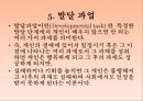 인간의 발달발달의 의의태내의 발달신생아기의 발달영아기와 유아기의 발달발달의 개념발달의 원리단계이론과 연속이론 14페이지