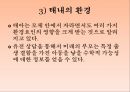 인간의 발달발달의 의의태내의 발달신생아기의 발달영아기와 유아기의 발달발달의 개념발달의 원리단계이론과 연속이론 18페이지