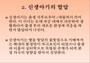 인간의 발달발달의 의의태내의 발달신생아기의 발달영아기와 유아기의 발달발달의 개념발달의 원리단계이론과 연속이론 21페이지