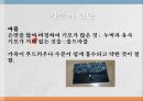 가죽의 정의가죽의 구조가죽의 성질공정과정천연가죽 VS 인조가죽가죽의 종류가죽의 원단합성피혁 19페이지