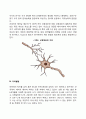 영아의 신체운동발달 5페이지