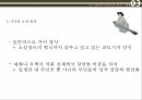 조선후기 규방가사노처녀가덴동어미화전가가사의 소설 발전변형된 화전가 양식 25페이지