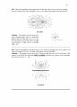 Fluid Mechanics-Frank M White Solution Ch8 12페이지