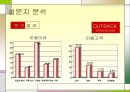 아웃백 스테이크 마케팅아웃백 스테이크  기업분석아웃백 브랜드마케팅서비스마케팅글로벌경영사례분석 16페이지