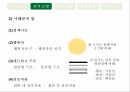 종합편성채널종합편성 4채널네트워크 구조 8페이지