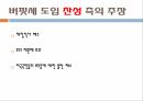 미국에서의 버핏세버핏세 도입 찬성부의 재분배 효과경제적 부작용 3페이지