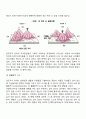 피아제의 인지발달이론 11페이지