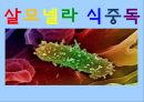 살모넬라 식중독식중독의 정의식중독이란식중독의 종류식중독 원인 1페이지