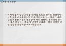 청소년 범죄 증가소년법 폐지현행 소년법 정책소년법의 정의청소년 범죄 실태 22페이지