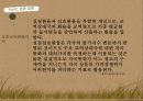 국제금융론한국 외환보유환율문제외환시장 13페이지