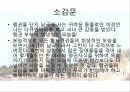 심리적 안정감자아 이미지이상적인 배우자상남극의 일기 9페이지