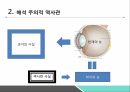 역사란 무엇인가실증주의 역사관해석 주의적 역사관역사개념의 특징 4페이지