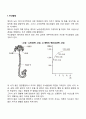 영아의 뇌발달 운동발달 특징 2페이지