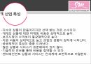 글로벌 마케팅소녀시대 마케팅걸그룹해외 진출 활동보아 프로젝트 5페이지