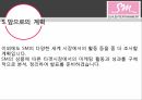 글로벌 마케팅소녀시대 마케팅걸그룹해외 진출 활동보아 프로젝트 10페이지
