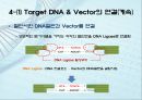 유전자클로닝 관련 레포트자료 26페이지