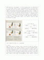 [방통대 유아교육과 1학년 인간행동과 사회환경 B형] 초등학교 어린이들에게서 나타나는 문제 중 하나는 ‘등교거부’이다 3페이지