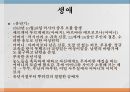 투르게네프 생애, 러시아의 사실주의, 투르게네프 소설 2페이지