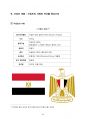 시리아 이집트 정치 사회 연구 레포트 42페이지