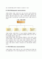 경영조직의 부문화) 기능별 부문화 제품별 부문화 지역별 부문화 고객별 부문화 레포트 4페이지