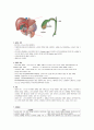 (A+받음) 성인간호학실습 급성담낭염 case study 3페이지