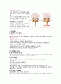 (A+받음) 성인간호학실습 척추관협착증 case study 2페이지