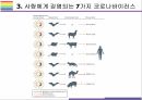 신종 코로나 바이러스 개념 종류 및 특징에 대하여 13페이지